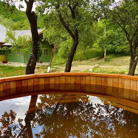 Pensiune Alunis Retreat *