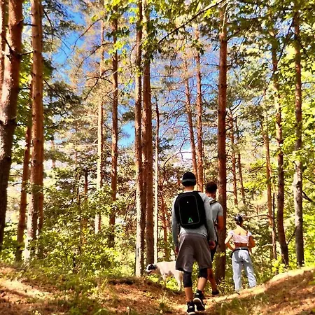 Alunis Retreat Pensiune
