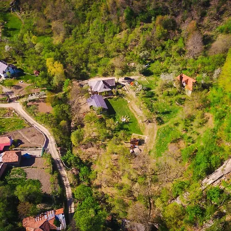 Alunis Retreat * Alunişu